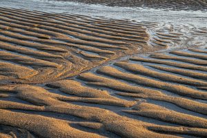 rippled sand with retreating tide